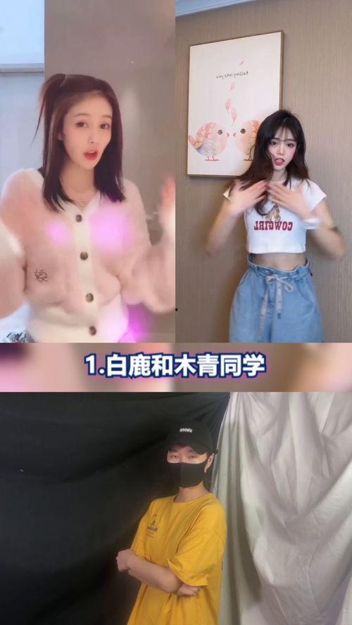 明星网红跳舞蹈的视频,跟随明星舞步，一起燃动舞池