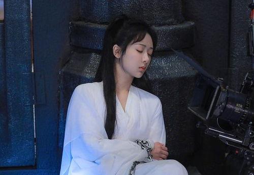 明星网红追长相思吗,长相思酒风潮席卷而来