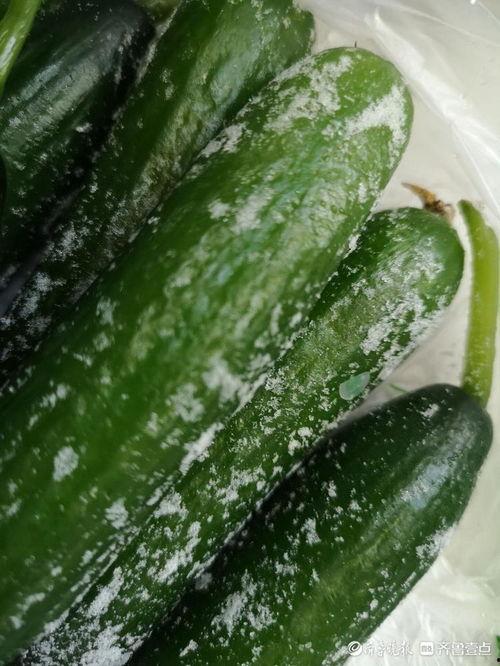今日江科的瓜,今日校园瓜料大揭秘