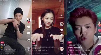 视频明星网红高科技,网红明星引领潮流新风向