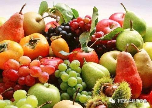 水果吊瓜今日价格走势,今日水果吊瓜价格波动解析