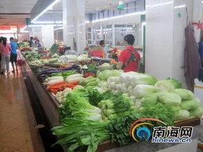 今日三亚瓜菜行情最新消息,新鲜直供，价格波动解析