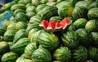 今日华阴瓜价,今日瓜价行情一览”