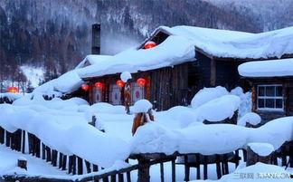 明星网红去雪乡了吗,明星网红的冬日浪漫行踪