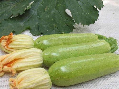 今日昆明茭瓜批发是多少,行情如何？