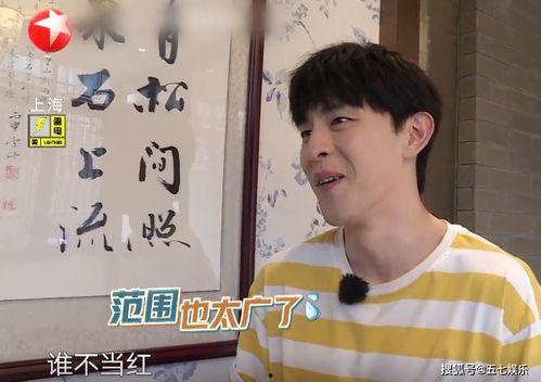 说书的明星网红是谁,揭秘网络红人传奇人生