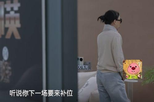 明星网红为什么翻车多,背后原因及反思