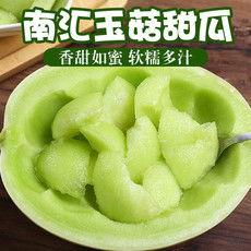 海南哈密瓜玉菇今日行情,丰收季里的甜蜜价格波动