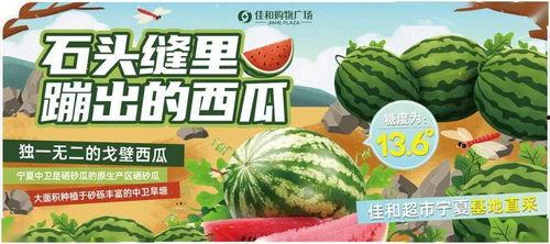 今日吃瓜91热门大瓜,吃瓜91热门大瓜盘点，揭秘娱乐圈最新动态
