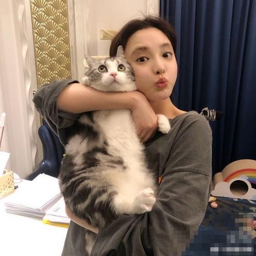 明星网红小馄饨叫什么,揭秘明星网红小馄饨的传奇魅力