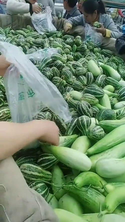 今日有啥瓜好吃,盘点时下热门瓜果美味