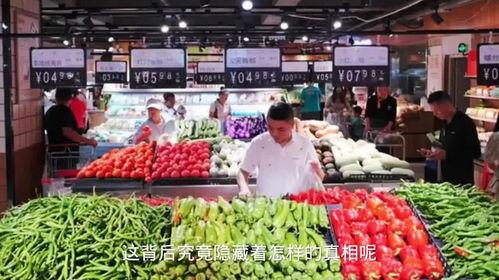 今日菜价小圆瓜,小圆瓜成为餐桌新宠