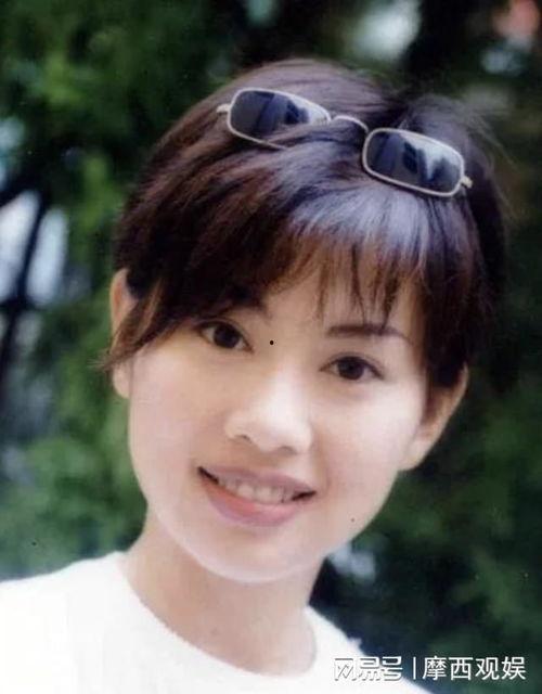 明星网红被陷害事件视频,真相与反转的较量