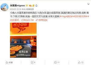济南有什么明星网红打卡