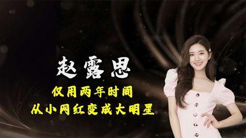 大明星网红这款游戏,闪耀舞台，成就璀璨人生