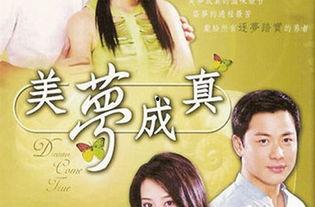 美梦成真电视剧,现实与梦想的交织之旅