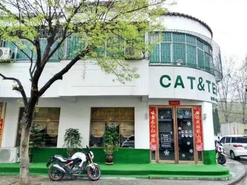 明星网红推荐轻熟店铺,轻熟风店铺，打造你的时尚新天地