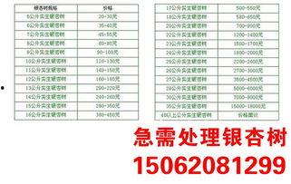 小吊瓜今日报价查询表,市场行情实时解析