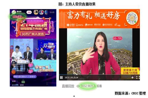 明星网红直播助农论文,明星网红助力乡村振兴的实践与启示
