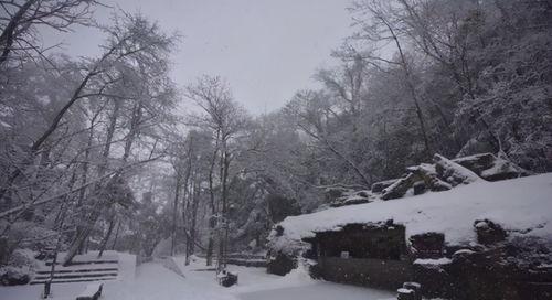 瓜州今日下雪了吗最近,冬日里的别样美景”