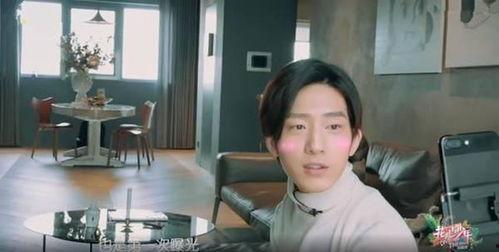明星网红修音视频,技术背后的真相与争议