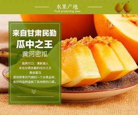黄河蜜瓜今日价格多少钱,新鲜上市，品质保证，价格实惠
