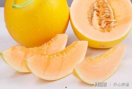 黄河蜜瓜今日价格多少钱,新鲜上市，品质保证，价格实惠