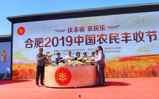 合肥三瓜公社今日新闻,乡村振兴新典范，绿色发展成果丰硕