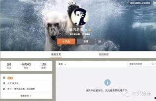 怎么识别明星网红的真假,识别技巧全解析