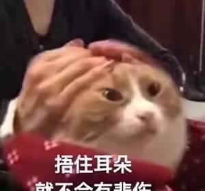 明星网红偷税漏税事件,明星网红偷税漏税事件深度解析