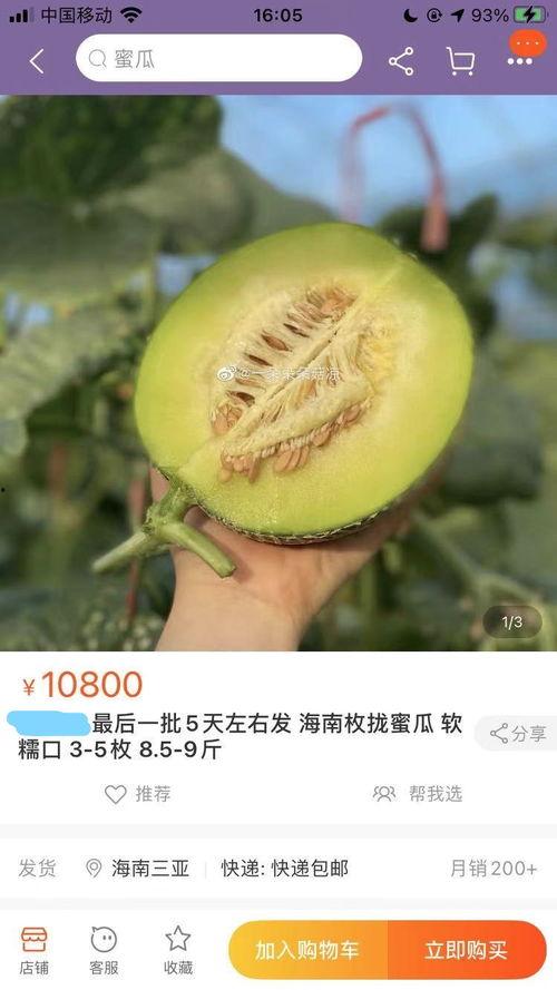 今日蜜瓜报价查询,市场行情一览