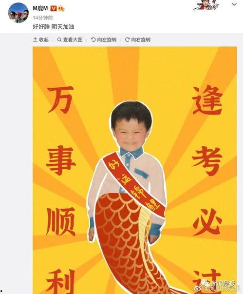 明星网红店翻车事件视频,明星效应下的食品安全危机揭秘
