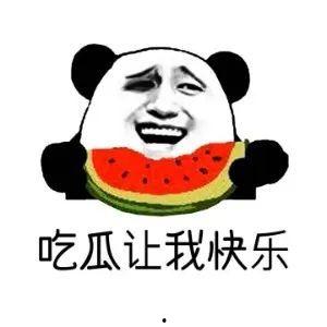 今日无吃瓜什么意思,网络流行语背后的文化现象