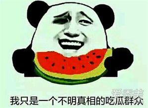 今日无吃瓜什么意思,网络流行语背后的文化现象