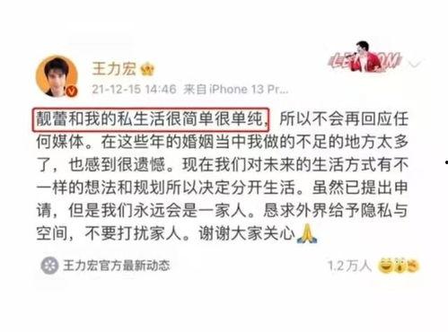 丽水今日吃瓜事件始末是什么,一场网络热议的始末揭秘