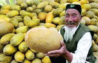 郑州万邦今日哈密瓜价格,实惠之选，品质保证