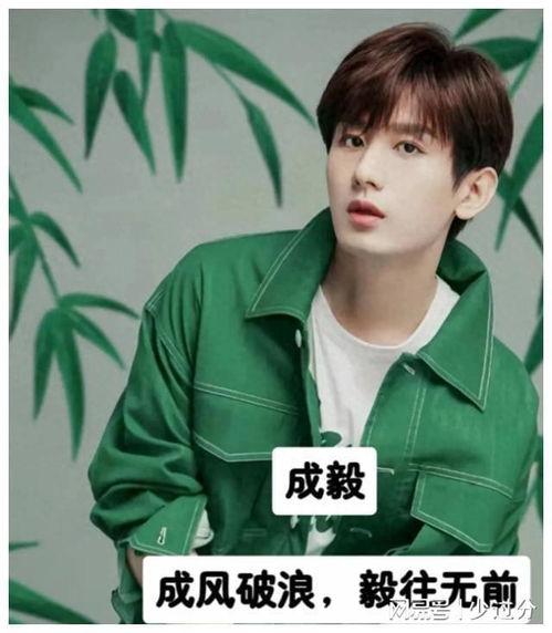 明星网红应援图高清壁纸,高清壁纸中的应援图魅力