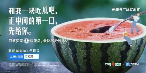石家庄今日吃瓜新闻视频,揭秘今日热门事件视频回顾