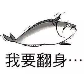 明星网红咸鱼知乎推荐,揭秘网红明星的私藏宝藏