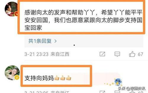 明星网红为丫丫发声视频,明星网红齐发声，正义之声响彻网络”