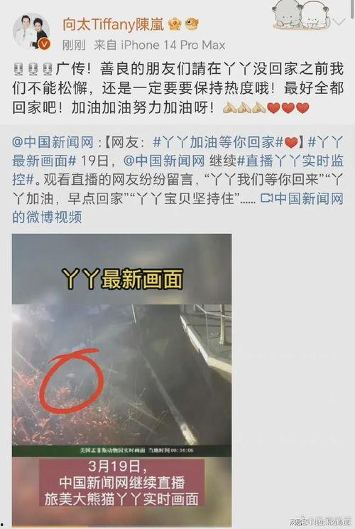 明星网红为丫丫发声视频,明星网红齐发声，正义之声响彻网络”