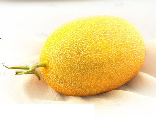哈密瓜今日特价,尽享夏日清新美味！