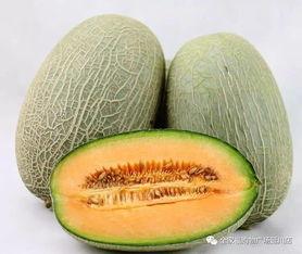 哈密瓜今日特价,尽享夏日清新美味！