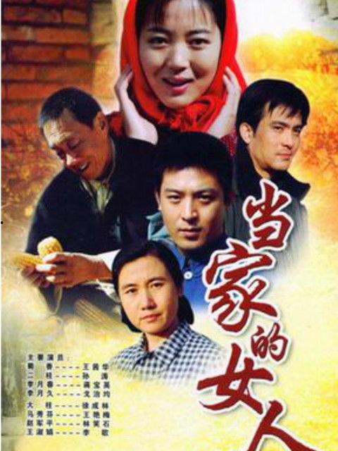 电视剧当家的女人,家国情怀与时代女性的奋斗传奇