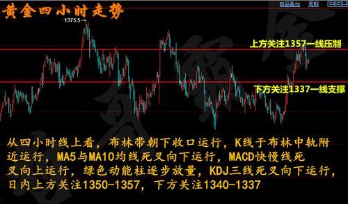 今日吊瓜行情走势分析,洞察今日吊瓜价格走势
