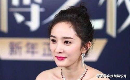 有多少明星网红出道了,盘点近年来崭露头角的明星网红