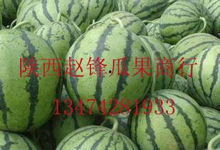 万邦哈密瓜今日批发价格,品质佳价优引关注”