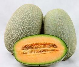 万邦哈密瓜今日批发价格,品质佳价优引关注”