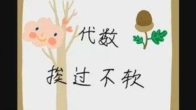 小瓜行情今日行情最新版,揭秘今日农产品市场动态与趋势”