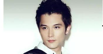 怎么跟明星网红合作挣钱